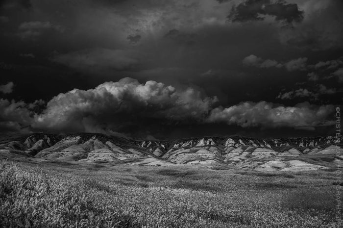 His Glory © Cristen J. Roghair http://cristenjoyphotography.com