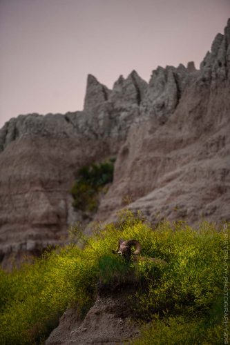 The Watchman © Cristen J. Roghair http://cristenjoyphotography.com