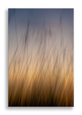 Dance With Me © Cristen J. Roghair http://cristenjoyphotography.com