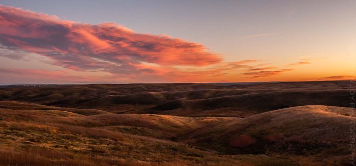 Waking Up  © Cristen J. Roghair http://cristenjoyphotography.com