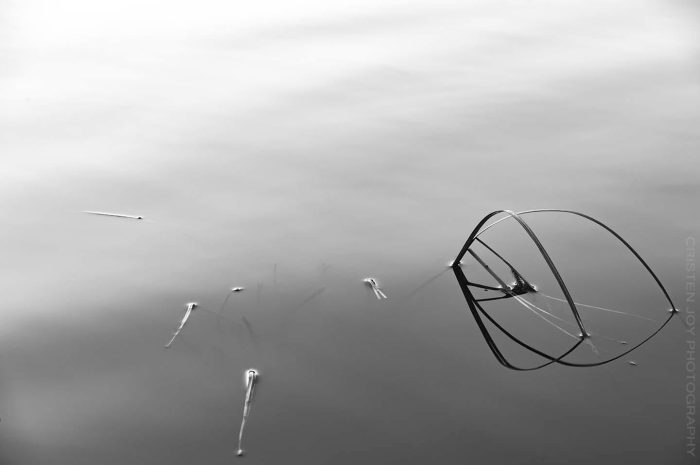 Discovery © Cristen J. Roghair http://cristenjoyphotography.com