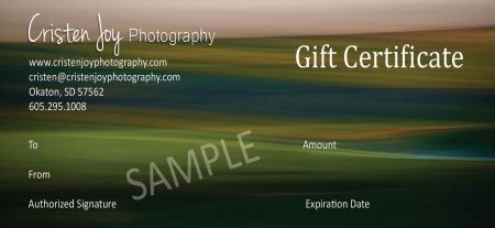 Gift Certificate 2017 copy wv