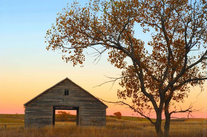 Granary in Fall