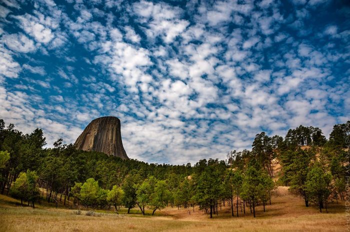 © Cristen J. Roghair, All Rights Reserved | http://cristenjoyphotography.com