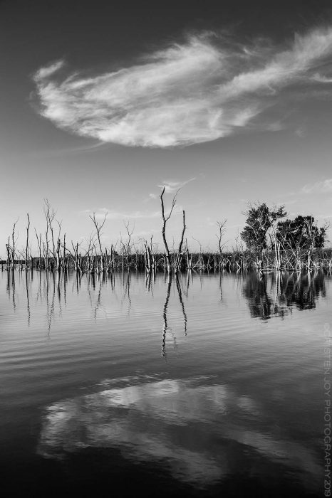 Mirror © Cristen J. Roghair http://cristenjoyphotography.com