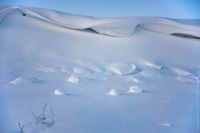 Sculpted & Scattered