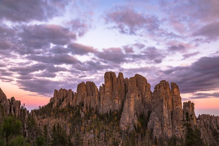 The Cathedral © Cristen J. Roghair http://cristenjoyphotography.com The Cathedral