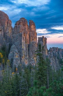 Touch of Gold © Cristen J. Roghair http://cristenjoyphotography.com